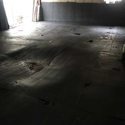 Img 9871